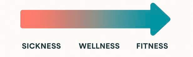 Fitness Entwicklung als Prozess